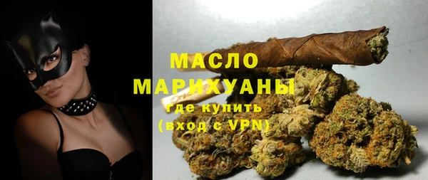 молекула духа Новозыбков