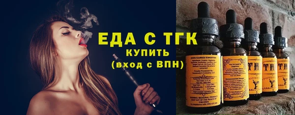 молекула духа Новозыбков