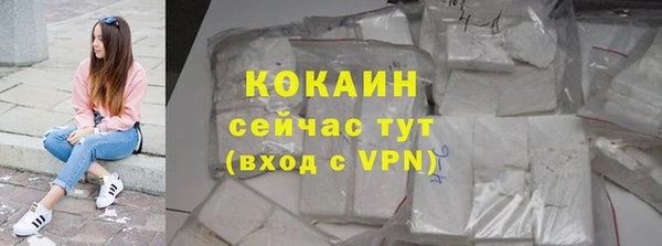 молекула духа Новозыбков