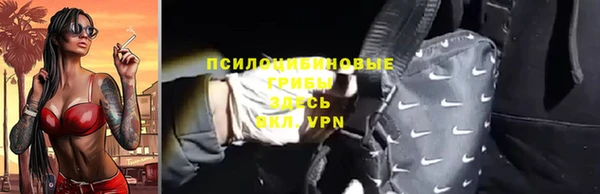 молекула духа Новозыбков