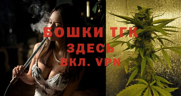 молекула духа Новозыбков