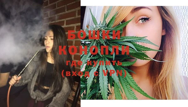 дживик Новокубанск