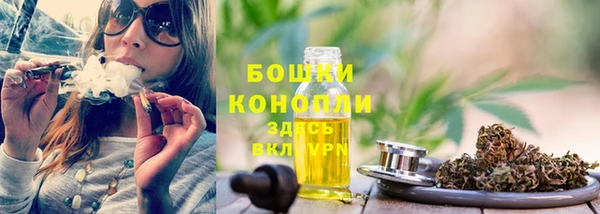 дживик Новокубанск