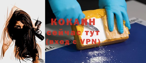 ECSTASY Новодвинск