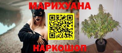 ПСИЛОЦИБИНОВЫЕ ГРИБЫ Кингисепп