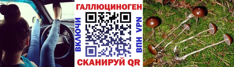 Галлюциногенные грибы Psilocybine cubensis  сайты даркнета Telegram  Кувандык 