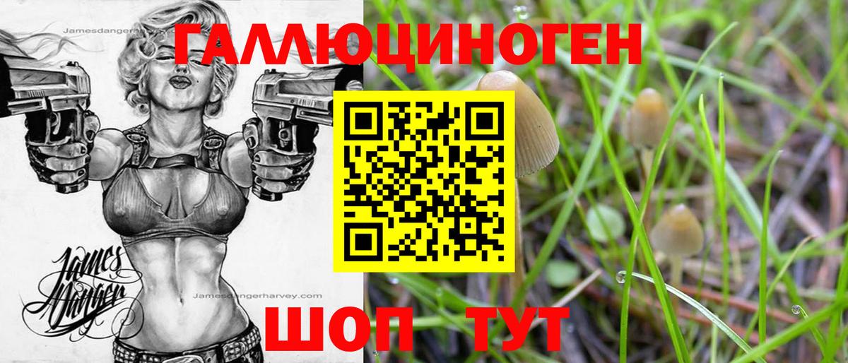 Псилоцибиновые грибы GOLDEN TEACHER  Кувандык 