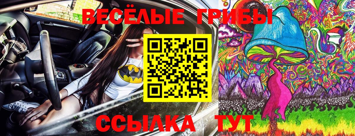 Галлюциногенные грибы Magic Shrooms  Галлюциногенные грибы мицелий  Вход с VPN  Кувандык 